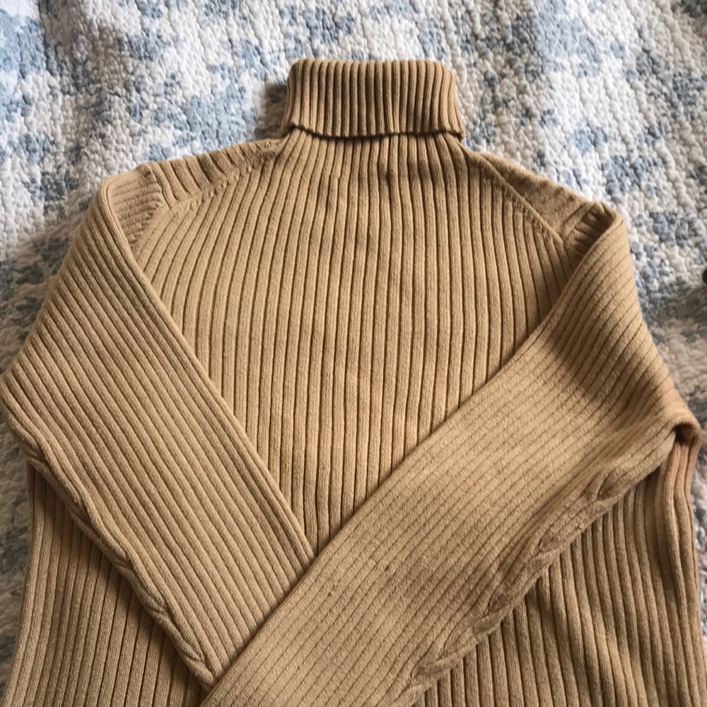 Beige Turtleneck